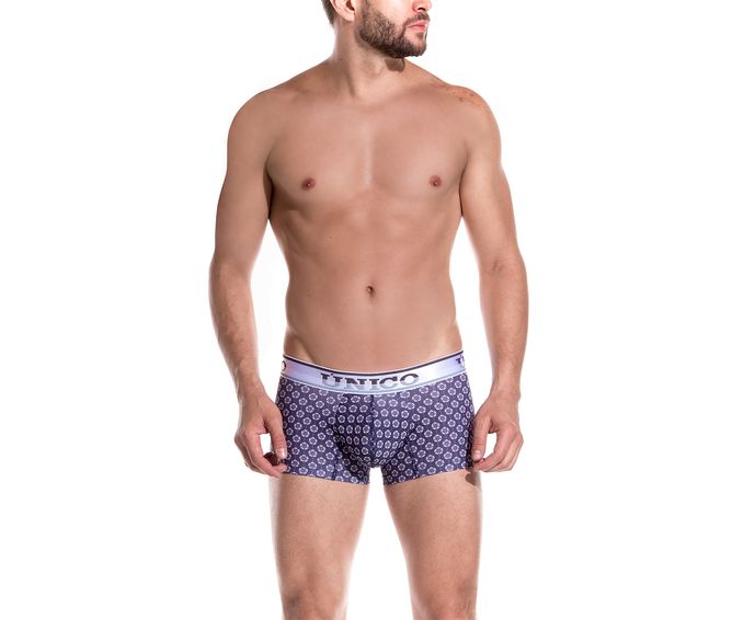 BOXER--CORTO-MELTING-BICOLOR
