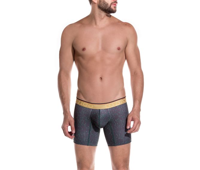 BOXER--MEDIO-LIMITE-BICOLOR