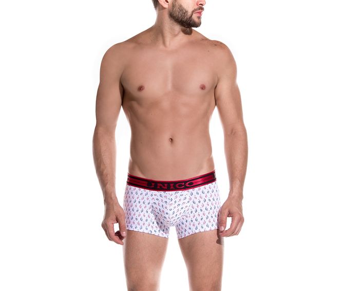 BOXER--CORTO-GENETICS-TRICOLOR