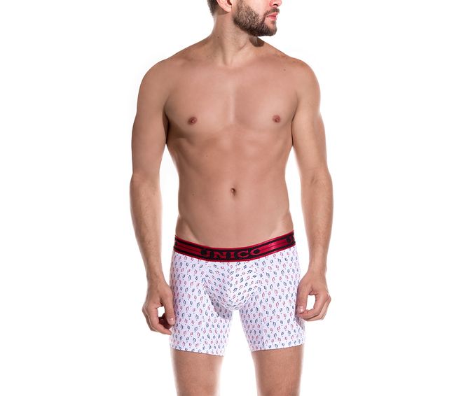 BOXER--MEDIO-GENETICS-TRICOLOR