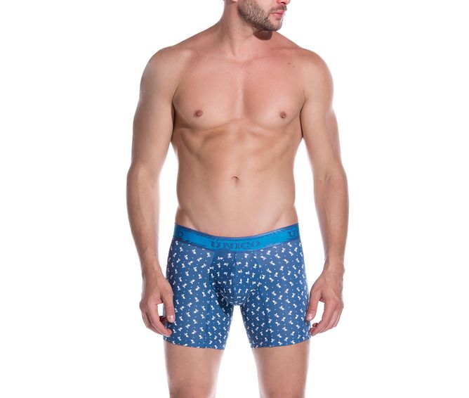 BOXER--MEDIO-TRISTAN-AZUL