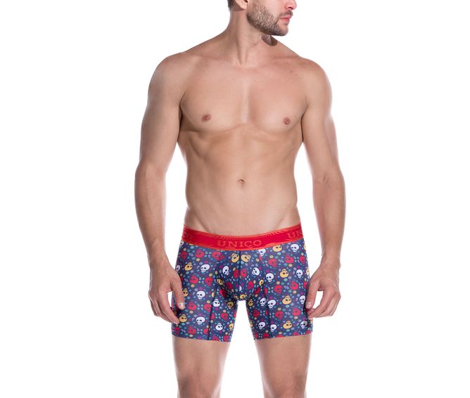 BOXER--MEDIO-KAHLO-ESTAMPADO