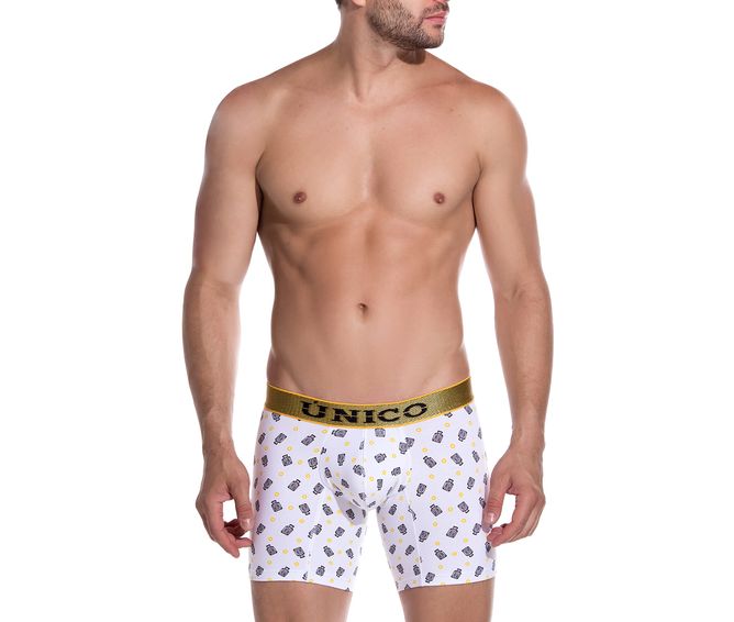 BOXER--MEDIO-JOURNEY-BLANCO