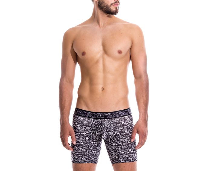 BOXER--MEDIO-ANTIQUE-CAR-ESTAMPADO