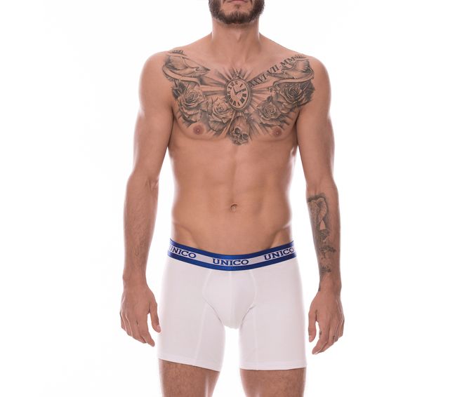 BOXER--MEDIO-PARDO-BLANCO