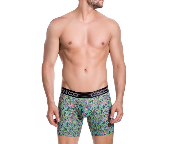 BOXER--MEDIO-NATURE-VERDE