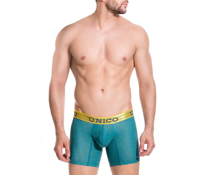 BOXER--MEDIO-PAST-VERDE