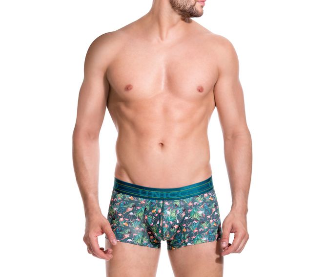 BOXER--CORTO-BIRDS-VERDE