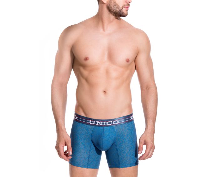 BOXER--MEDIO-BE-BICOLOR