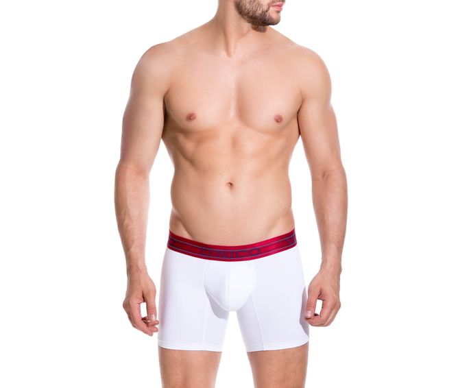 BOXER--MEDIO-HERENCIA-BLANCO