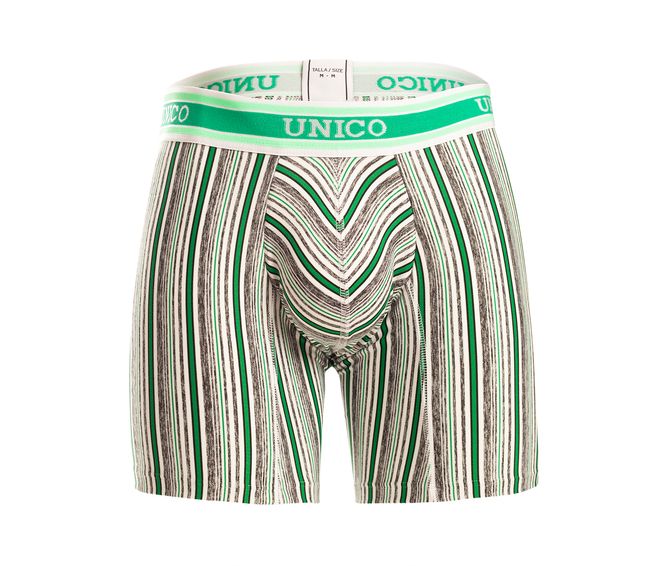 BOXER--MEDIO-POISE-BICOLOR
