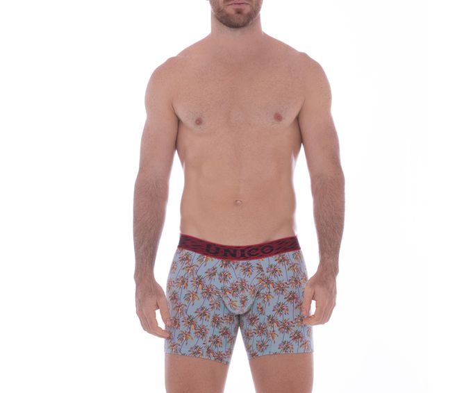BOXER--MEDIO-SERENO-ESTAMPADO