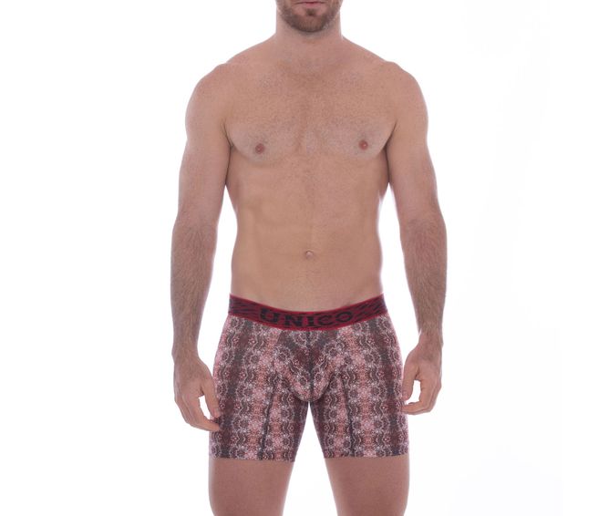 BOXER--MEDIO-ANCESTRAL-ESTAMPADO