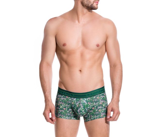 BOXER--CORTO-VIDA-VERDE