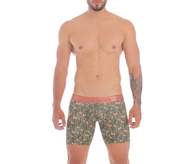 boxer-medio-estampado-felicity-2007010023763f1