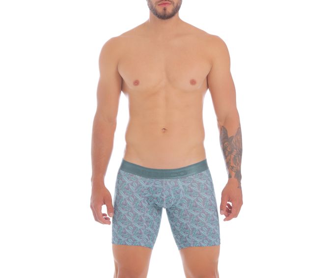 boxer-medio-estampado-bruselas-2007010021029f1