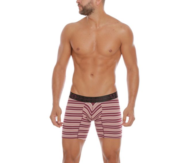 BOXER--MEDIO-LINES-TRICOLOR