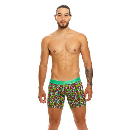 BOXER--MEDIO-FESTIVITY-ESTAMPADO