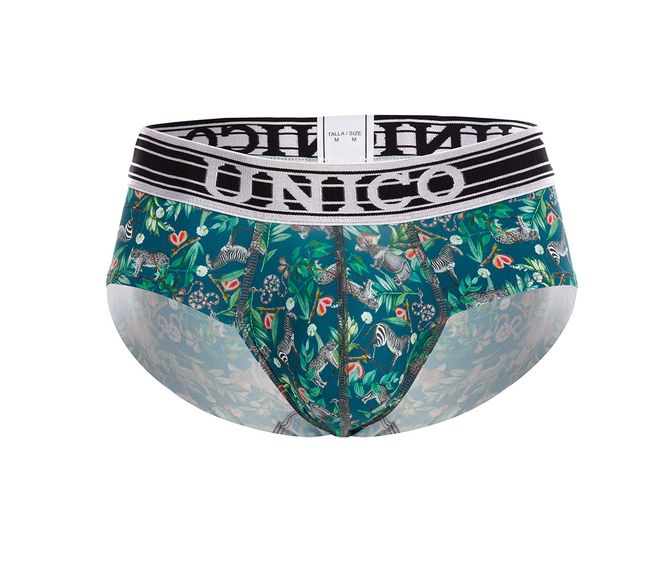 BRIEF--TORRIDO-ESTAMPADO