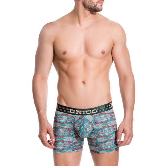 BOXER--RIVER-RIVER-ESTAMPADO