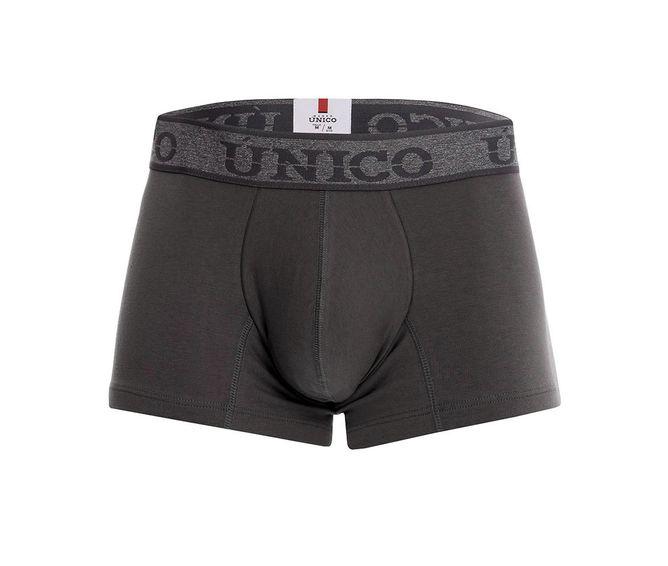 BOXER--CORTO-PLOMI-ASFALTO