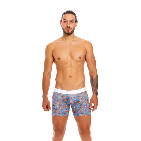 BOXER--MEDIO-COZINESS-ESTAMPADO